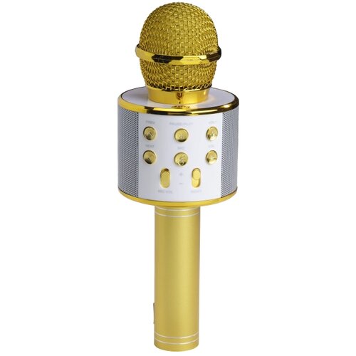 Denver Mikrofon KMS-20GOMK2 Bluetooth ZLATNI Slike