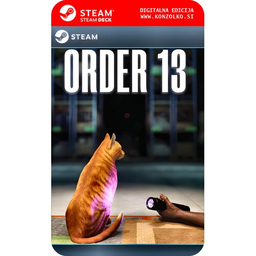  ORDER 13 - Steam koda brez &scaron;katlice (WINDOWS PC | STEAM DECK) Cene
