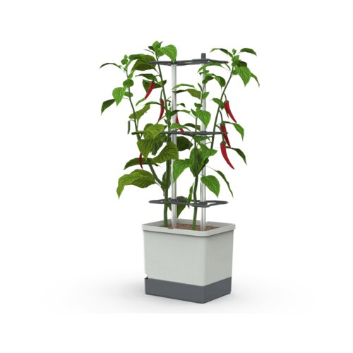 Gusta Garden CHARLY CHILI XL - svetlo siva Cene