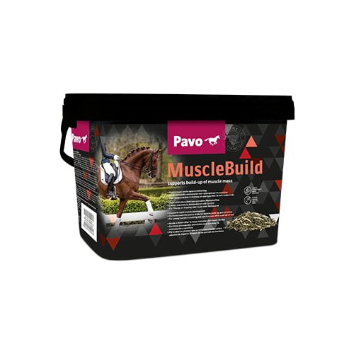 Pavo MuscleBuild Cene