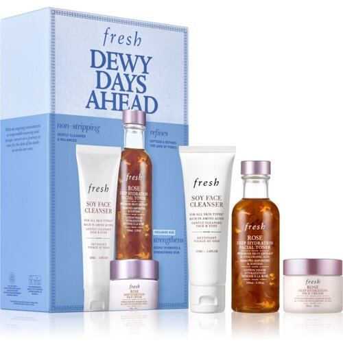 Fresh Dewy Days Ahead set za nego obraza Cene