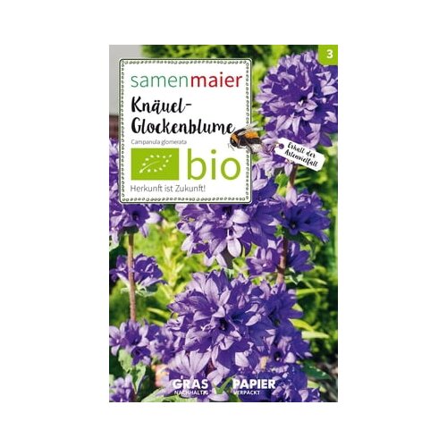 Samen Maier Divjecvetna klobčasta zvončica Cene