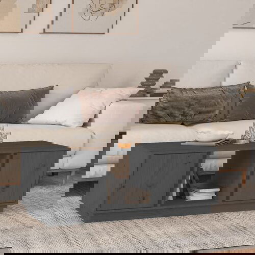 vidaXL Stolić za kavu sivi 110 x 50 x 40 cm od masivne borovine Cijene