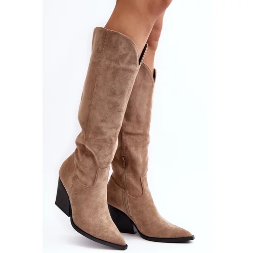 Kesi Fashionable Beige Suede Cowboy Boots Delia