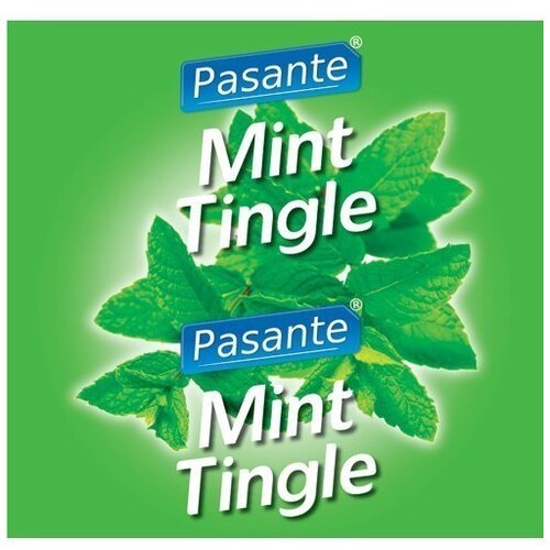 Pasante Mint Flavour Condoms 144pcs Cene