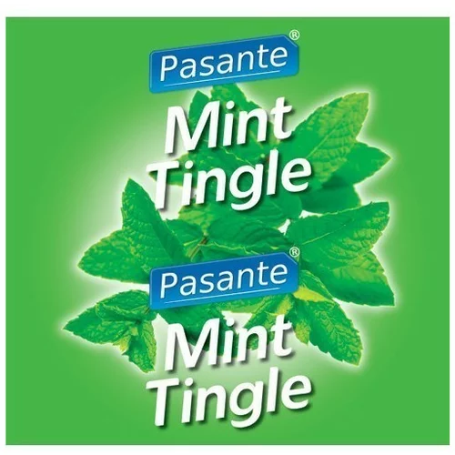 Pasante Mint Flavour Condoms 144pcs
