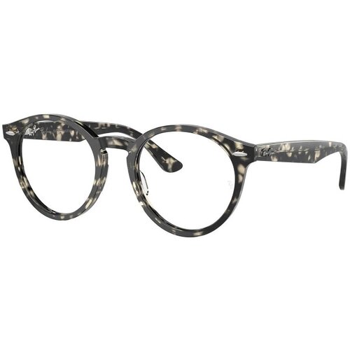 Ray-ban Larry RX7680V 8117 M (49) Siva/Kristalna Slike