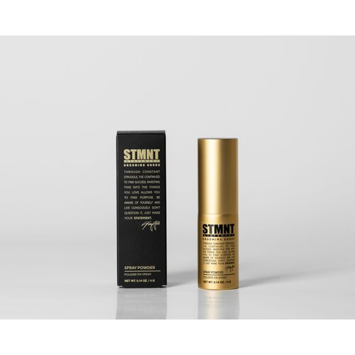 STMNT Staygold Spray Powder pudrasto pršilo za obliko 4 g Cene