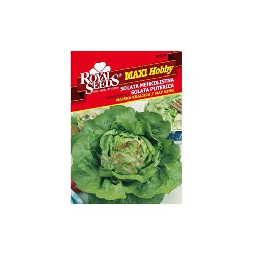 Salata Majska Kraljica Maxi Royal Seeds Cijene