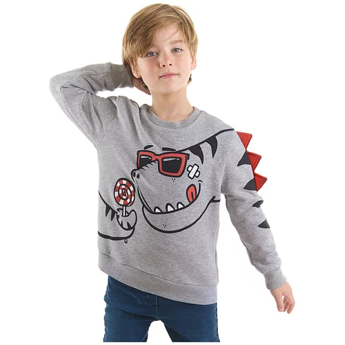 Denokids Candy Store Dinosaur Boys Gray Sweatshirt