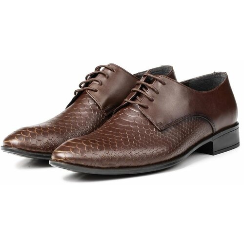 Ducavelli Croco Genuine Leather Men's Classic Shoes, Derby Classic Shoes, Lace-Up Classic Shoes. Slike