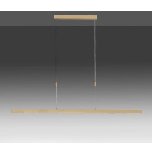 PAUL NEUHAUS 2568-60 - led prigu&amp;scaron;iva luster na sajli adriana LED/14W/230V mesing Slike
