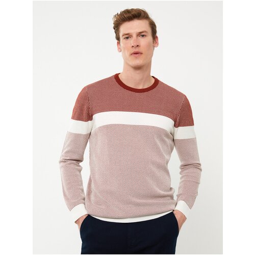 LC Waikiki Crew Neck Long Sleeve Color Block Men's Knitwear Sweater Slike