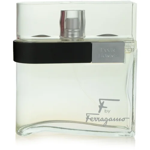 Salvatore Ferragamo F by Ferragamo toaletna voda 100 ml za moške