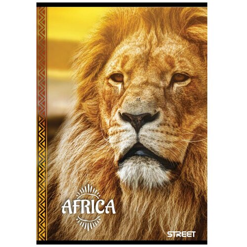 STREET Beležnica Africa, A6, 40 listov, črte Slike