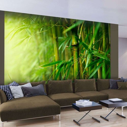  Tapeta - jungle - bamboo 400x309 Slike