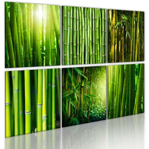  Slika - Bamboo has many faces 60x40 Slike