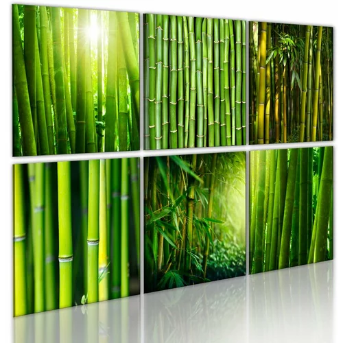  Slika - Bamboo has many faces 60x40