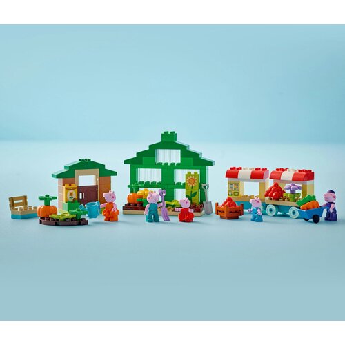 Lego 10461 Ba&amp;scaron;ta i staklenik Deke Praseta Slike