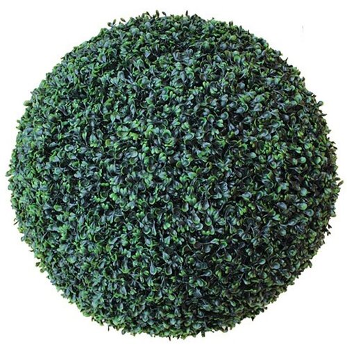  PUŠPAN-BUXUS PVC 230mm Cene