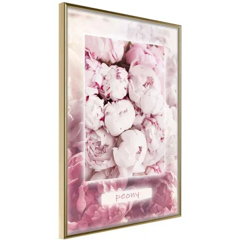  Poster - Scent of Peonies 20x30