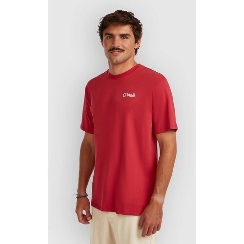 O'neill Polygiene Cotton Graphic T-shirt midnight poppy Cene