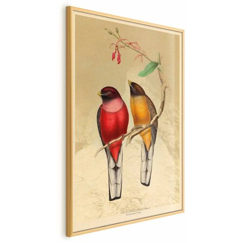  Plakat - Birds on a Branch 40x60 Zlatni okvir Cijene