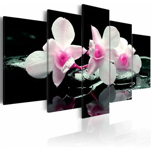  Slika - Rest of orchids 100x50