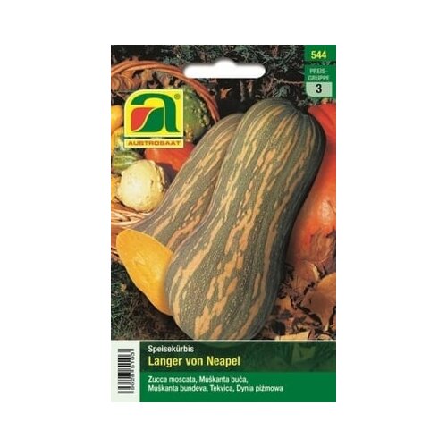 AUSTROSAAT Buča "Langer von Neapel" Cene