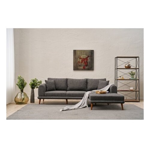 Atelier Del Sofa ugaona garnitura seren right anthracite Cene
