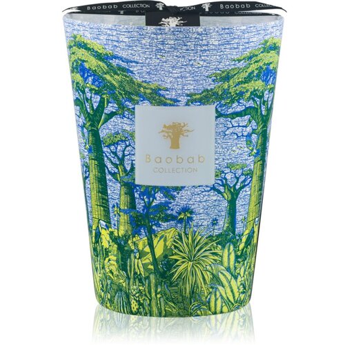 Baobab Collection Sacred Trees Yarani mirisna svijeća 24 cm Slike