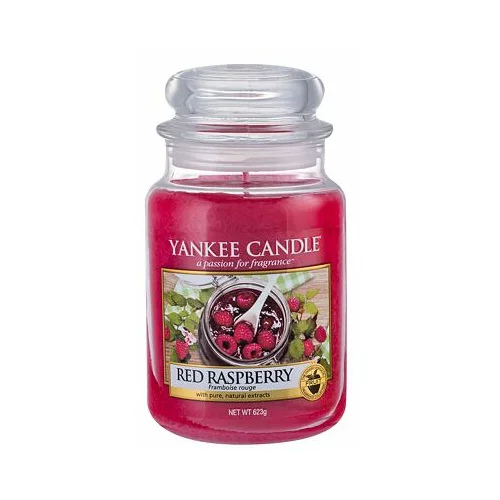 Yankee Candle red Raspberry dišeča svečka 623 g unisex