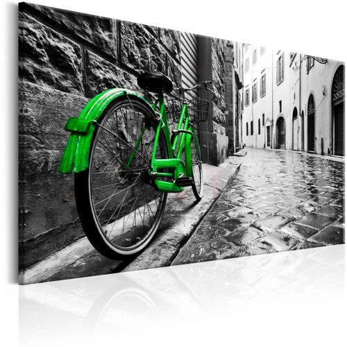  Slika - Vintage Green Bike 120x80 Cijene