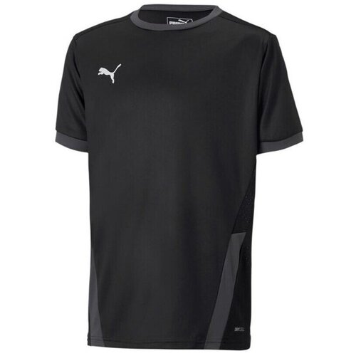 Puma Teamgoal 23 Jersey Crna Slike