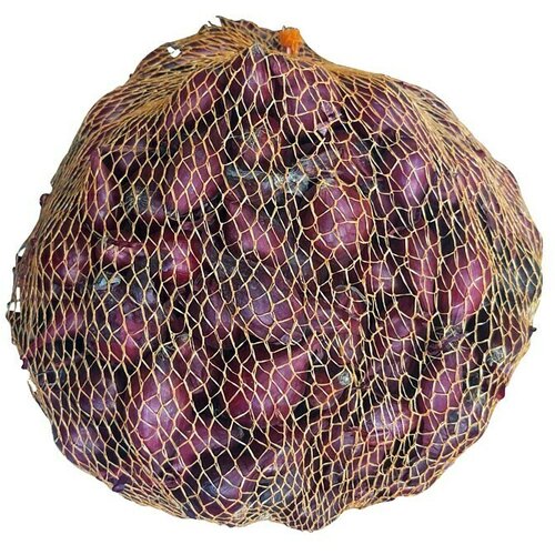  Lučice luka Red Baron (Botanički opis: Allium cepa, Berba: Kolovoz - Rujan, 1 kg) Cijene