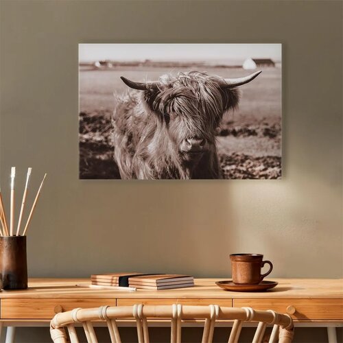  Slika - A Scottish Cow in Sepia 120x80 Akustična Slike