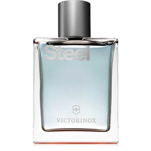 Victorinox Swiss Army Signature Steel toaletna voda za moške 100 ml Cene
