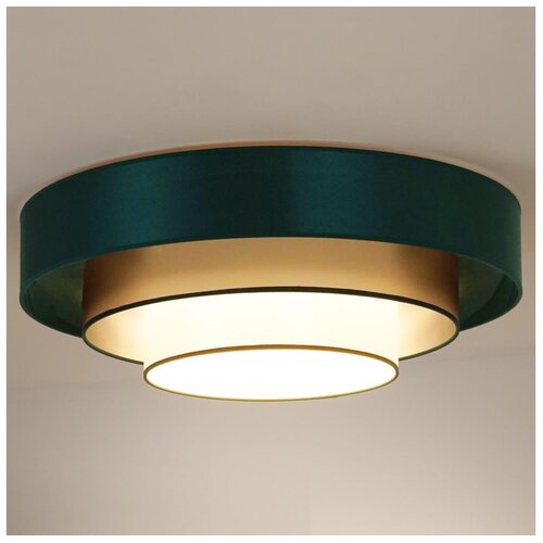  Duolla - LED plafonsko svetlo LUNETA LED/26W/230V prečnik 60 cm 4000K zelena/zlatna Cene