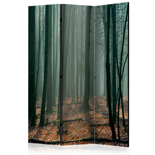  Paravan u 3 dijela - Witches' forest [Room Dividers] 135x172