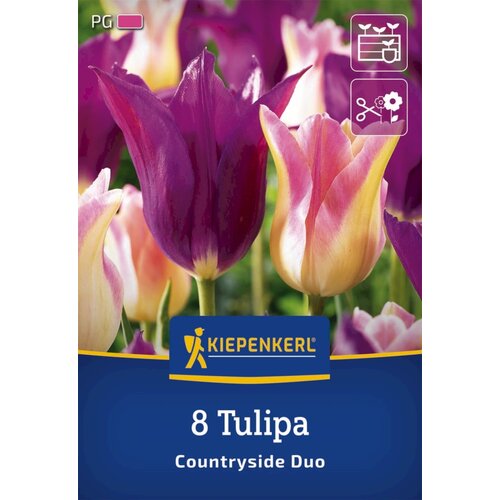 KIEPENKERL Tulipani "Mix Countryside" - 8 k. Cene