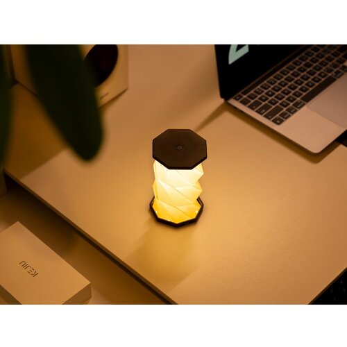 Gingko Bela/črna prenosljiva svetlobna dekoracija na USB &amp;oslash; 8 cm Twist &amp;ndash; Slike