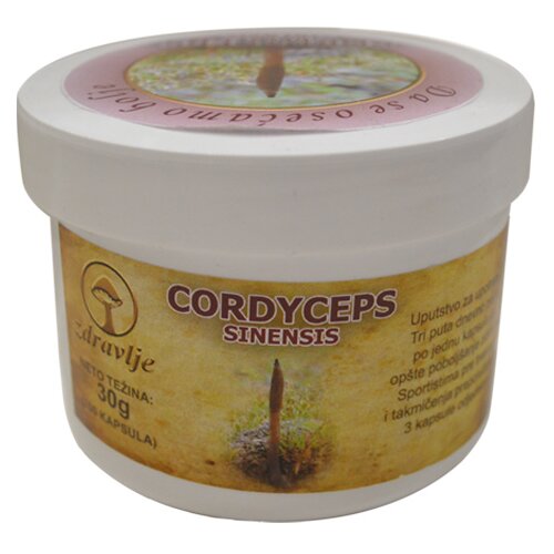 ELEGANCE PRESS cordyceps sinensis 100 kapsula Slike