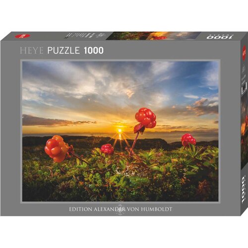 Heye puzzle Audun Rikardsen Cloudberries 1000 delova 30016 Slike