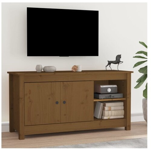  TV omarica medeno rjava 103x36,5x52 cm trdna borovina Cene