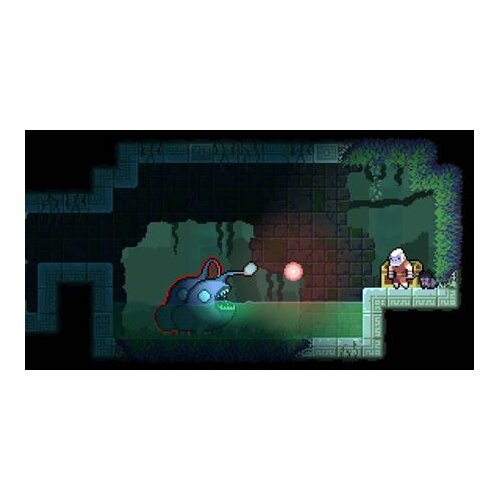Meridiem_publishing Dunjungle - Premium Edition (Switch) Slike