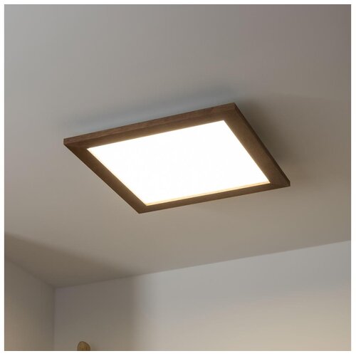 Brilagi LED prigu&amp;scaron;iva svetiljka SLIMFRAME WOOD LED/36W/230V 49,5x49,5 cm + daljinski upravljač Slike
