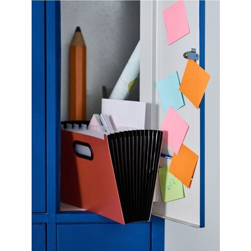 Sinsay Organizator za dokumente s pregradama Slike