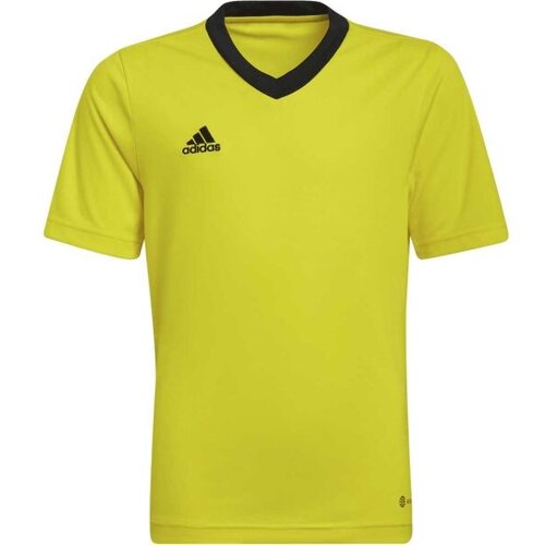 Adidas Majice s kratkimi rokavi Entrada 22 Rumena Cene