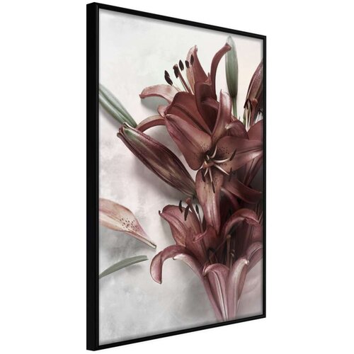  Poster - Burgundy Solace 20x30 Slike