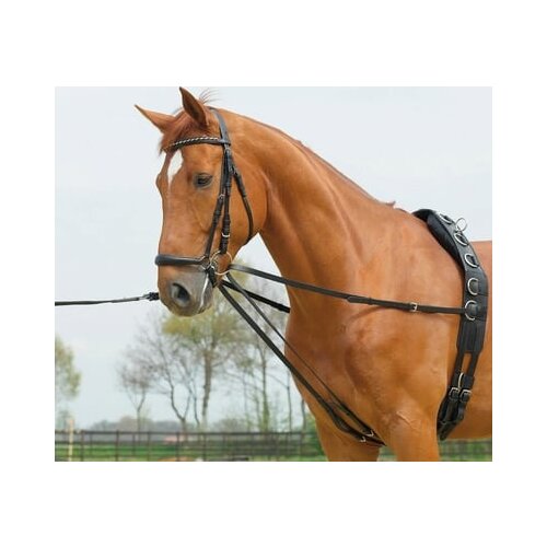 Busse Crne podesive uzde od kože i užeta Cene